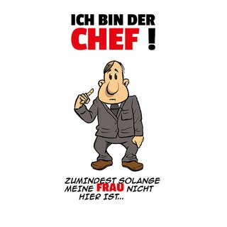 Schild Spruch "bin Chef, solange Frau nicht hier ist" 20 x 30 cm 