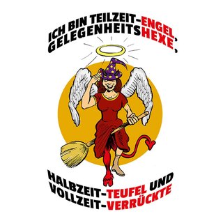 Schild Spruch "Teilzeit-Engel, Gelegenheitshexe, Teufel, Verrückte" 20 x 30 cm