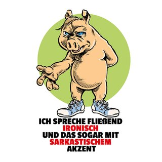 Schild Spruch "spreche fließend ironisch, sarkastischem Akzent" 20 x 30 cm