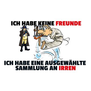 Schild Spruch "keine Freunde, ausgewählte Sammlung Irren" 20 x 30 cm