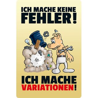 Schild Spruch "mache keine Fehler, mache Variationen" 20 x 30 cm