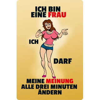 Schild Spruch "bin Frau, ich darf Meinung alle 3 Minuten ändern" 20 x 30 cm