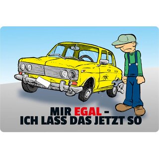 Schild Spruch "Mir egal, ich lass das jetzt so" Auto 20 x 30 cm