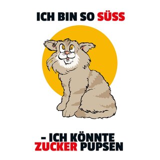 Schild Spruch "Ich bin so süß, könnte Zucker pupsen" Katze 20 x 30 cm 