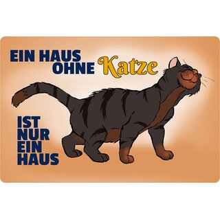 Schild Spruch "Haus ohne Katze ist nur ein Haus" 20 x 30 cm