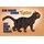 Schild Spruch "Haus ohne Katze ist nur ein Haus" 20 x 30 cm