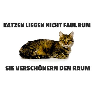 Schild Spruch "Katzen liegen nicht faul rum, verschönern Raum" 20 x 30 cm