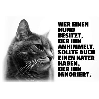 Schild Spruch "Hund besitzt, anhimmelt, Kater ignoriert" 20 x 30 cm