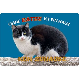 Schild Spruch "Ohne Katze ist ein Haus kein Zuhause" 20 x 30 cm