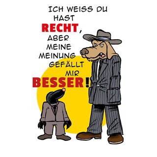 Schild Spruch "weiß hast Recht, aber Meinung gefällt mir besser" 20 x 30 cm