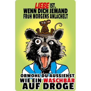 Schild Spruch "Liebe, wenn dich jemand morgens anlächelt, Waschbär" 20 x 30 cm