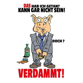 Schild Spruch "hab ich getan, kann gar nicht sein, verdammt" 20 x 30 cm 