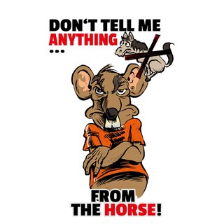Schild Spruch "Dont tell me anything from the horse" 20 x 30 cm 