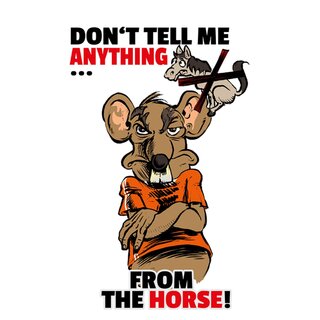 Schild Spruch "Dont tell me anything from the horse" 20 x 30 cm