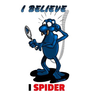 Schild Spruch "I believe I spider" Spinne 20 x 30 cm