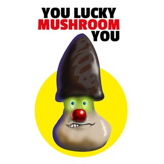 Schild Spruch "You lucky mushroom you" 20 x 30 cm 