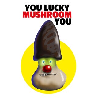 Schild Spruch "You lucky mushroom you" 20 x 30 cm