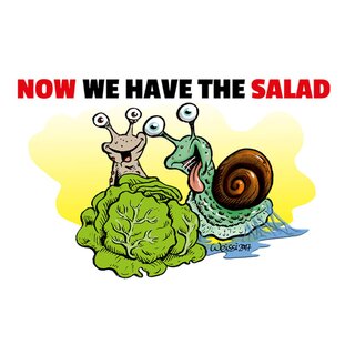 Schild Spruch "Now we have the salad" 20 x 30 cm
