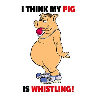 Schild Spruch "I think my pig is whistling" 20 x 30 cm 
