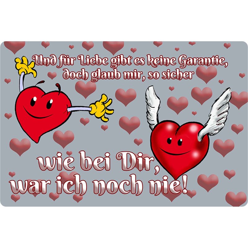 Schild Spruch "für Liebe keine Garantie, sicher wie bei dir war ich n