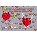 Schild Spruch "für Liebe keine Garantie, sicher...