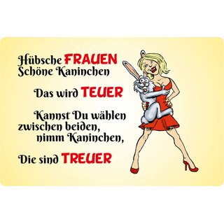 Schild Spruch "Hübsche Frauen, Kaninchen, teuer treuer" 20 x 30 cm