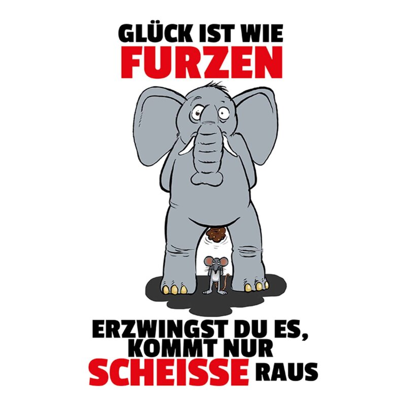 schild-spruch-glueck-wie-furzen-erzwingst-es-kommt-nur-scheisse-raus-20-x-30-cm.jpg