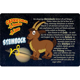 Schild Spruch "Steinbock Sternzeichen, Dezember Januar, Capricorn" 20 x 30 cm 