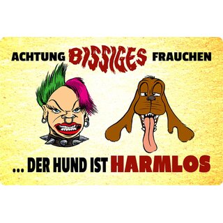 Schild Spruch "Achtung bissiges Frauchen, Hund harmlos" 20 x 30 cm 