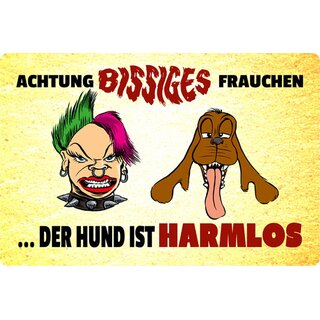 Schild Spruch "Achtung bissiges Frauchen, Hund harmlos" 20 x 30 cm