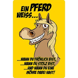 Schild Spruch "Pferd weiß wann fröhlich, stolz bist, Möhre" 20 x 30 cm 