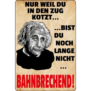 Schild Spruch "in Zug kotzt, bist du nicht bahnbrechend" Einstein 20 x 30 cm 