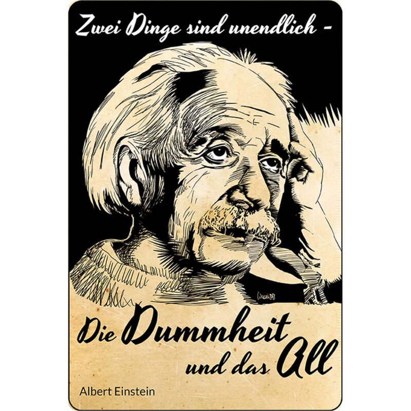 Schild Spruch Zwei Dinge Unendlich Dummheit All Einstein X 30 C 7 99