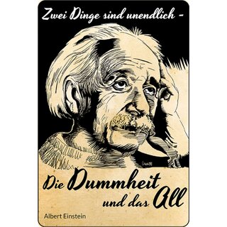Schild Spruch "Zwei Dinge unendlich, Dummheit All" Einstein 20 x 30 cm