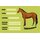 Schild Spruch "Thrakener, Name Rasse Geboren" Pferd 20 x 30 cm