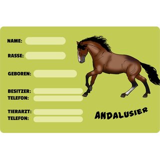 Schild Spruch "Andalusier, Name Rasse Geboren" Pferd 20 x 30 cm 