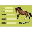 Schild Spruch Andalusier, Name Rasse Geboren Pferd 20 x...