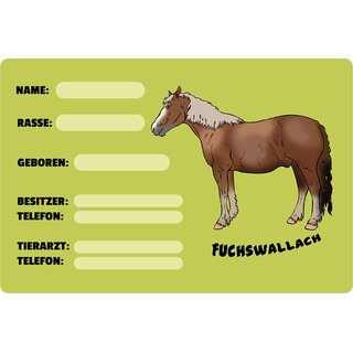 Schild Spruch "Fuchswallach, Name Rasse Geboren" Pferd 20 x 30 cm 