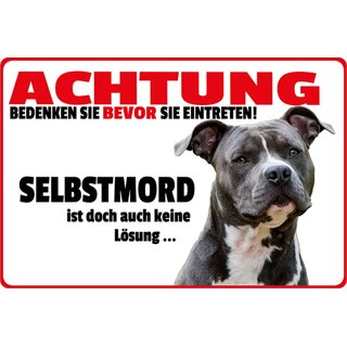 Schild Spruch "Achtung vor eintreten, Selbstmord keine Lösung" Hund 20 x 30 cm