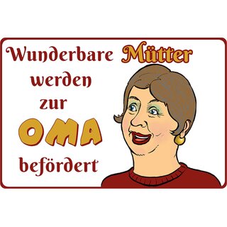 Schild Spruch "Wunderbare Mütter werden zur Oma befördert" 20 x 30 cm 