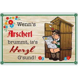 Schild Spruch "Wenns Arscherl brummt iss Herzl Gsund" 20 x 30 cm 