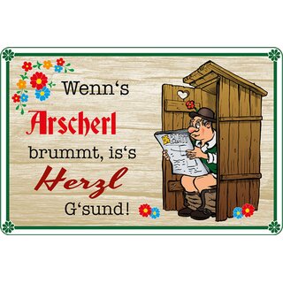 Schild Spruch "Wenns Arscherl brummt iss Herzl Gsund" 20 x 30 cm