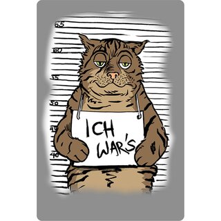 Schild Spruch "Ich wars" Katze 20 x 30 cm 