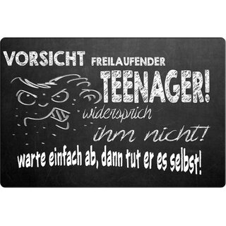 Schild Spruch "Vorsicht freilaufender Teenager, widersprich" 20 x 30 cm 