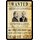 Schild Spruch "Wanted American Gangster, Al Capone" 20 x 30 cm