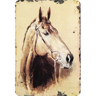 Schild Spruch "Pferd" Portrait 20 x 30 cm 