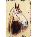 Schild Spruch Pferd Portrait 20 x 30 cm 