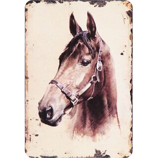 Schild Spruch "Pferd mit Halfter" 20 x 30 cm