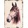 Schild Spruch "Pferd mit Halfter" 20 x 30 cm 