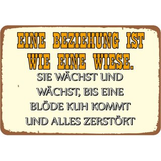 Schild Spruch "Beziehung ist wie Wiese, wächst bis Kuh zerstört" 20 x 30 cm 